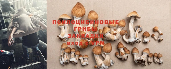 стаф Заволжск