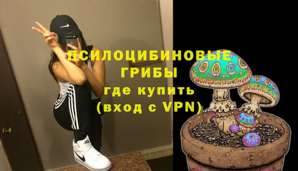 мдпв Елизово