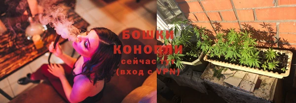 мдпв Елизово