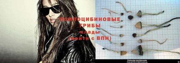 стаф Заволжск