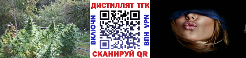 Купить закладки  Карабаново  ТГК концентрат 