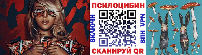 Купить  Карабаново  Псилоцибиновые грибы Psilocybe 