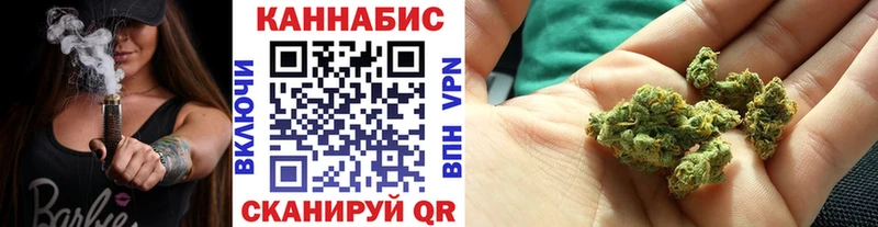 Купить где  Карабаново  Бошки марихуана конопля 